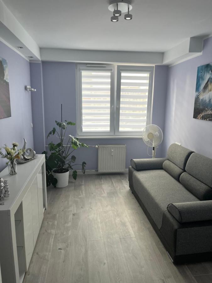 Apartament Nysa-Rynek Zewnętrze zdjęcie